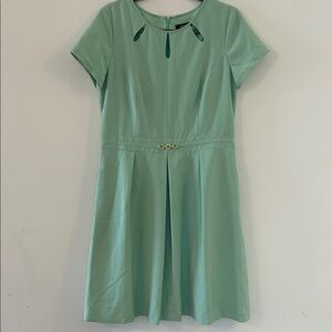 Ellen Tracy Light Green Dress